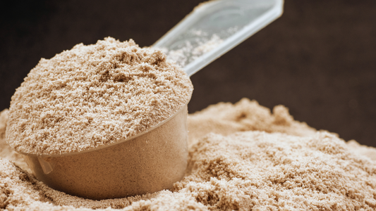 Hydrolyzed Grass-fed Beef Protein Powder: Why it's the best source for your protein powder