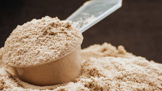 A macro shot of the texture of protein powder.
