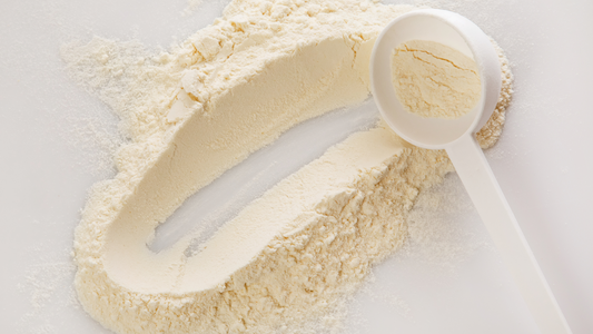 A close up of vanilla protein powder.