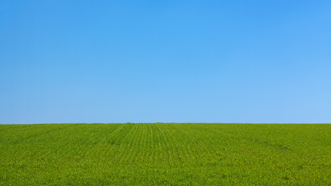 A pasture with a blue sky.