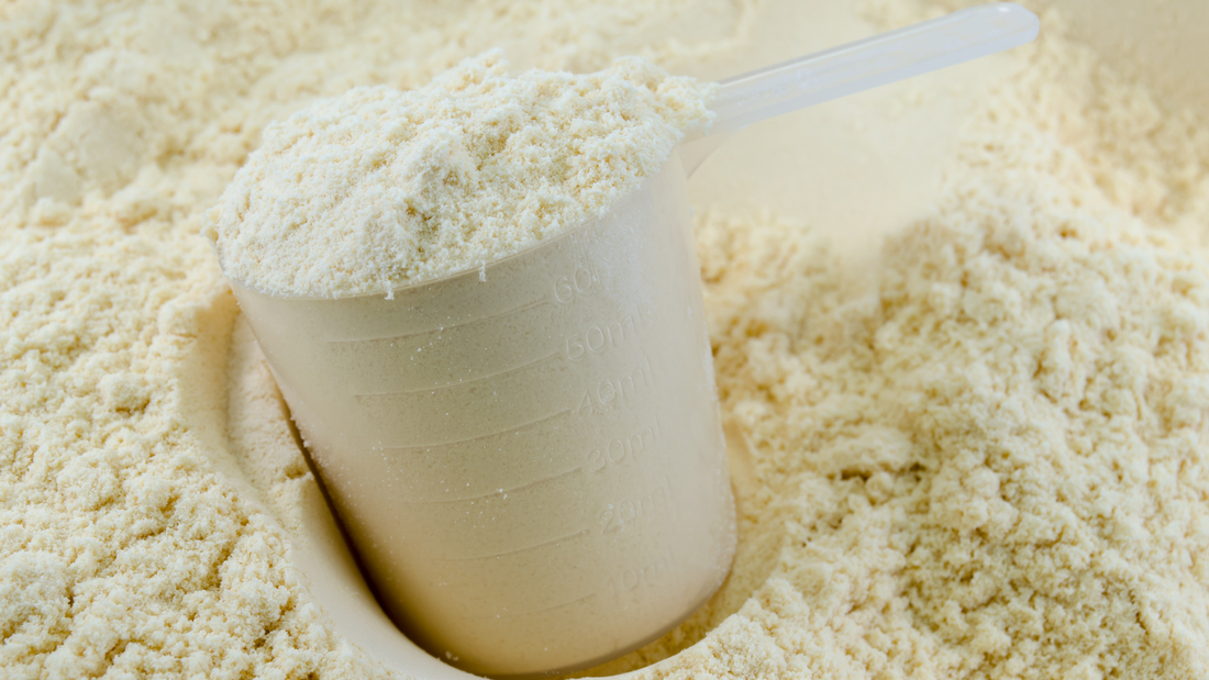 A close up of vanilla protein powder.
