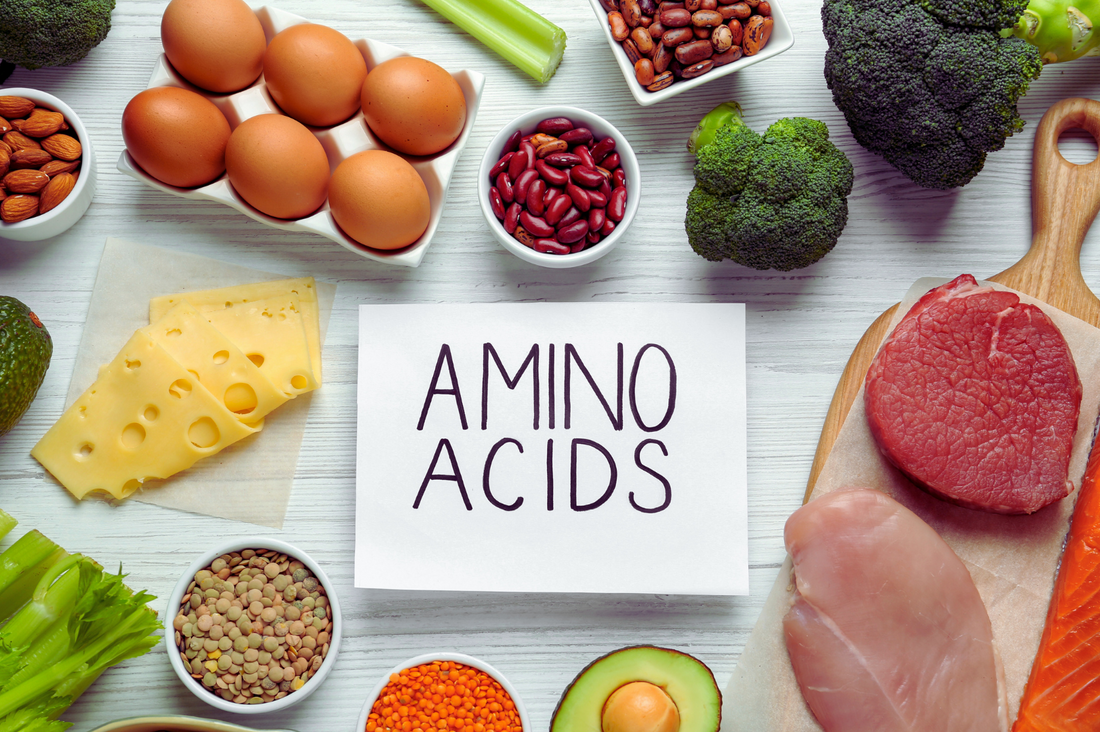 An image depicting foods rich in amino acids including cheese, eggs, beans and meat, which are all healthy.