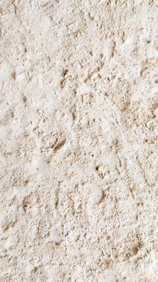 Macro shot of Protein Powder.